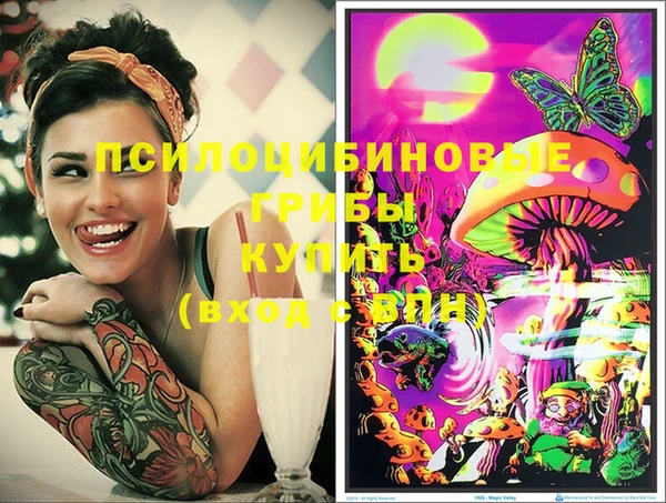 молекула духа Аркадак